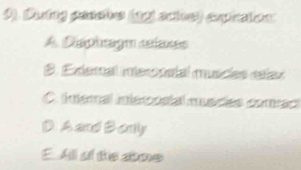 Duíng pasels (12) arie) exprcton
A Disphagn alass
S. Exdemal misronctal muscies clar
C. Ineral intsmnstal muscias comac
A and Borily
E All of the abme