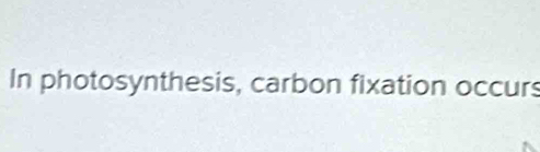 In photosynthesis, carbon fixation occurs