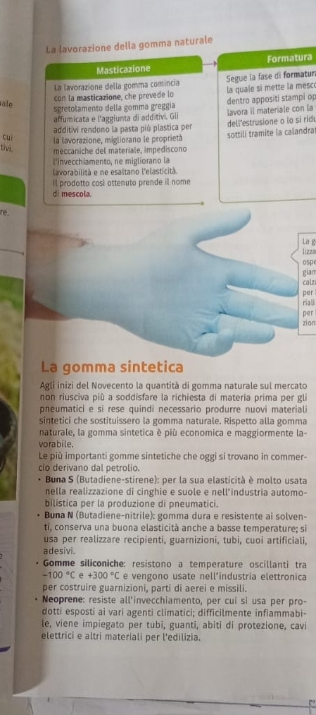 La lavorazione della gomma naturale
Masticazione Formatura
La lavorazione della gomma comincia Segue la fase di formatur
con la masticazione, che prevede lo la quale si mette la mesc
ale
sgretolamento della gomma greggia dentro appositi stampi op
affumicata e l'aggiunta di additivi. Gli lavora il materiale con la
additivi rendono la pasta più plastica per dell'estrusione o lo si rid
cui la lavorazione, migliorano le proprietà sottili tramite la calandra
tivi. meccaniche del materiale, impediscono
l*invecchiamento, ne migliorano la
lavorabilità e ne esaltano l'elasticità.
Il prodotto cosi ottenuto prende il nome
di mescola.
re,
La g
lizza
ospe
gian
calz
per
riali
per
zion
La gomma sintetica
Agli inizi del Novecento la quantità di gomma naturale sul mercato
non riusciva più a soddisfare la richiesta di materia prima per gli
pneumatici e si rese quindi necessario produrre nuovi materiali
sintetici che sostituissero la gomma naturale. Rispetto alla gomma
naturale, la gomma sintetica è più economica e maggiormente la-
vorabile.
Le più importanti gomme sintetiche che oggi si trovano in commer-
cio derivano dal petrolio.
Buna S (Butadiene-stirene): per la sua elasticità è molto usata
nella realizzazione di cinghie e suole e nell'industria automo-
bilistica per la produzione di pneumatici.
Buna N (Butadiene-nitrile): gomma dura e resistente ai solven-
ti, conserva una buona elasticità anche a basse temperature; si
usa per realizzare recipienti, guarnizioni, tubi, cuoi artificiali,
adesivi.
Gomme siliconiche: resistono a temperature oscillanti tra
-100°C e +300°C e vengono usate nell’industria elettronica
per costruire guarnizioni, parti di aerei e missili.
Neoprene: resiste all'invecchiamento, per cui si usa per pro-
dotti esposti ai vari agenti climatici; difficilmente infiammabi-
le, viene impiegato per tubi, guanti, abiti di protezione, cavi
elettrici e altri materiali per l'edilizia.