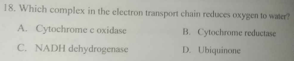 Which complex in the electron transport chain reduces oxygen to water?
A. Cytochrome c oxidase B. Cytochrome reductase
C. NADH dehydrogenase D. Ubiquinone