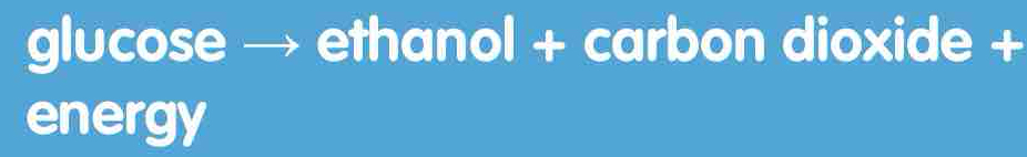 glucose ethanol + carbon dioxide + 
energy