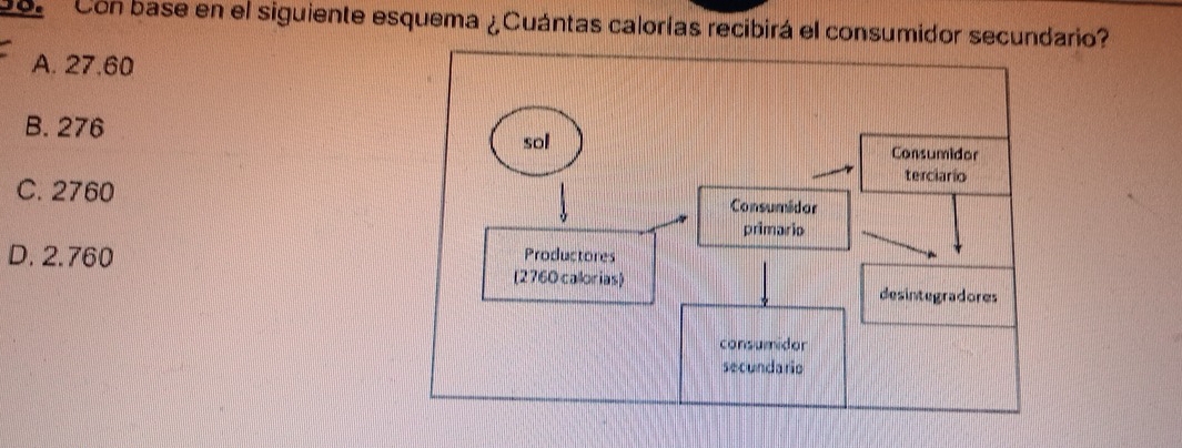 1o Con base en el siguiente esquema ¿Cuántas calorías recibirá el consumidor secundario?
A. 27.60
B. 276
C. 2760
D. 2.760