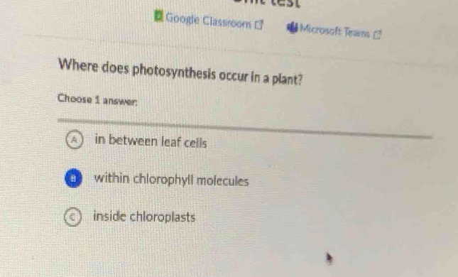 Google Classroom Microsoft Tea -
Where does photosynthesis occur in a plant?
Choose 1 answer:
A in between leaf cells
within chlorophyll molecules
inside chloroplasts