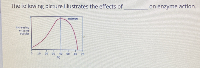 The following picture illustrates the effects of_ on enzyme action.