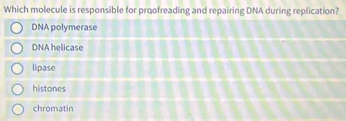 Which molecule is responsible for proofreading and repairing DNA during replication?
DNA polymerase
DNA helicase
lipase
histones
chromatin