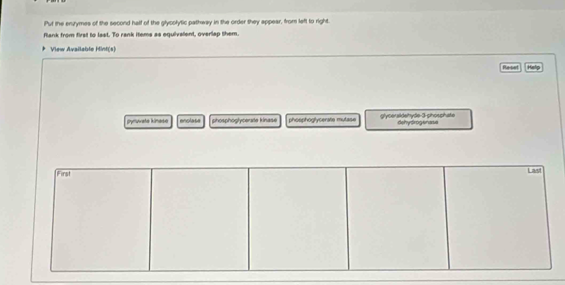 Put the enzymes of the second half of the glycolytic pathway in the order they appear, from left to right.
Rank from first to last. To rank items as equivalent, overlap them.
View Available Hint(s)
Reset Help
pyruvate kinase enolase phosphoglycerate kinase phosphoglycerate mutase glyceraldehyde- 3 -phosphate
dehydrogenase
First Last