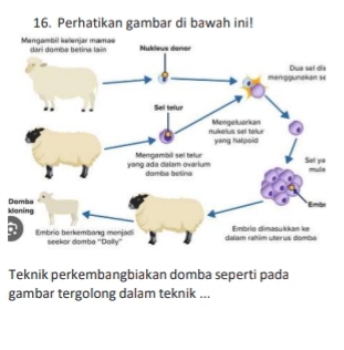 Perhatikan gambar di bawah ini! 
klD 
Teknik perkembangbiakan domba seperti pada 
gambar tergolong dalam teknik ...