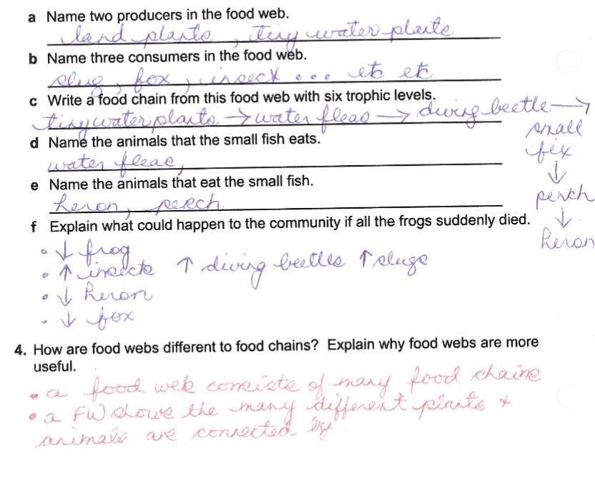 Solved: a Name two producers in the food web. _ b Name three consumers ...