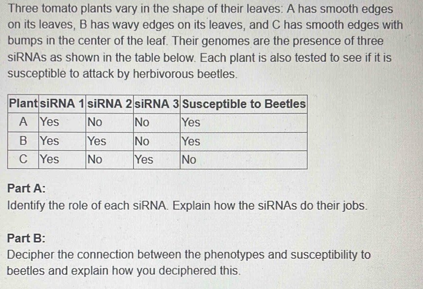 Three tomato plants vary in the shape of their leaves: A has smooth edges 
on its leaves, B has wavy edges on its leaves, and C has smooth edges with 
bumps in the center of the leaf. Their genomes are the presence of three 
siRNAs as shown in the table below. Each plant is also tested to see if it is 
susceptible to attack by herbivorous beetles. 
Part A: 
Identify the role of each siRNA. Explain how the siRNAs do their jobs. 
Part B: 
Decipher the connection between the phenotypes and susceptibility to 
beetles and explain how you deciphered this.