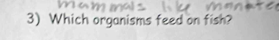 Which organisms feed on fish?