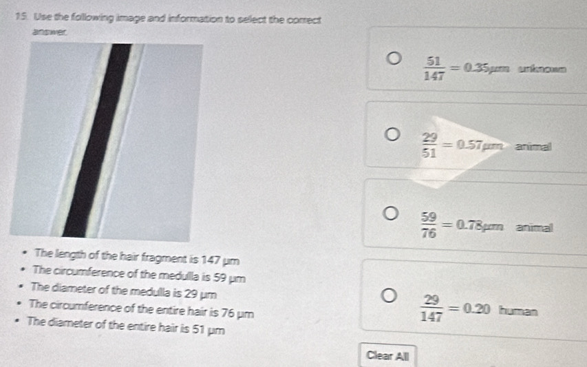 Use the following image and information to select the correct
answer.
 51/147 =0.35mu munispm
 29/51 =0.57mu manimal
 59/76 =0.78pm animal
The length of the hair fragment is 147 μm
The circumference of the medulla is 59 μm
The diameter of the medulla is 29 μm human
The circumference of the entire hair is 76 μm
 29/147 =0.20
The diameter of the entire hair is 51 μm
Clear All