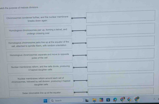 atch the purpose of meiosis divisions.
Chromosomes condense further, and the nuclear membrane
breaks down again
Homologous chromosomes pair up, forming a tetrad, and
undergo crossing over
Homologous chromosome pairs line up at the equator of the
cell, attached to spindle fibers, with random orientation
Homologous chromosomes separate and move to opposite
poles of the cell
Nuclear membranes reform, and the cells divide, producing
4 haploid daughter cells
Nuclear membranes reform around each set of
chromosomes, followed by cell division, producing 2 haploid
daughter cellis
Sister chromatids line up at the equator
Q Search