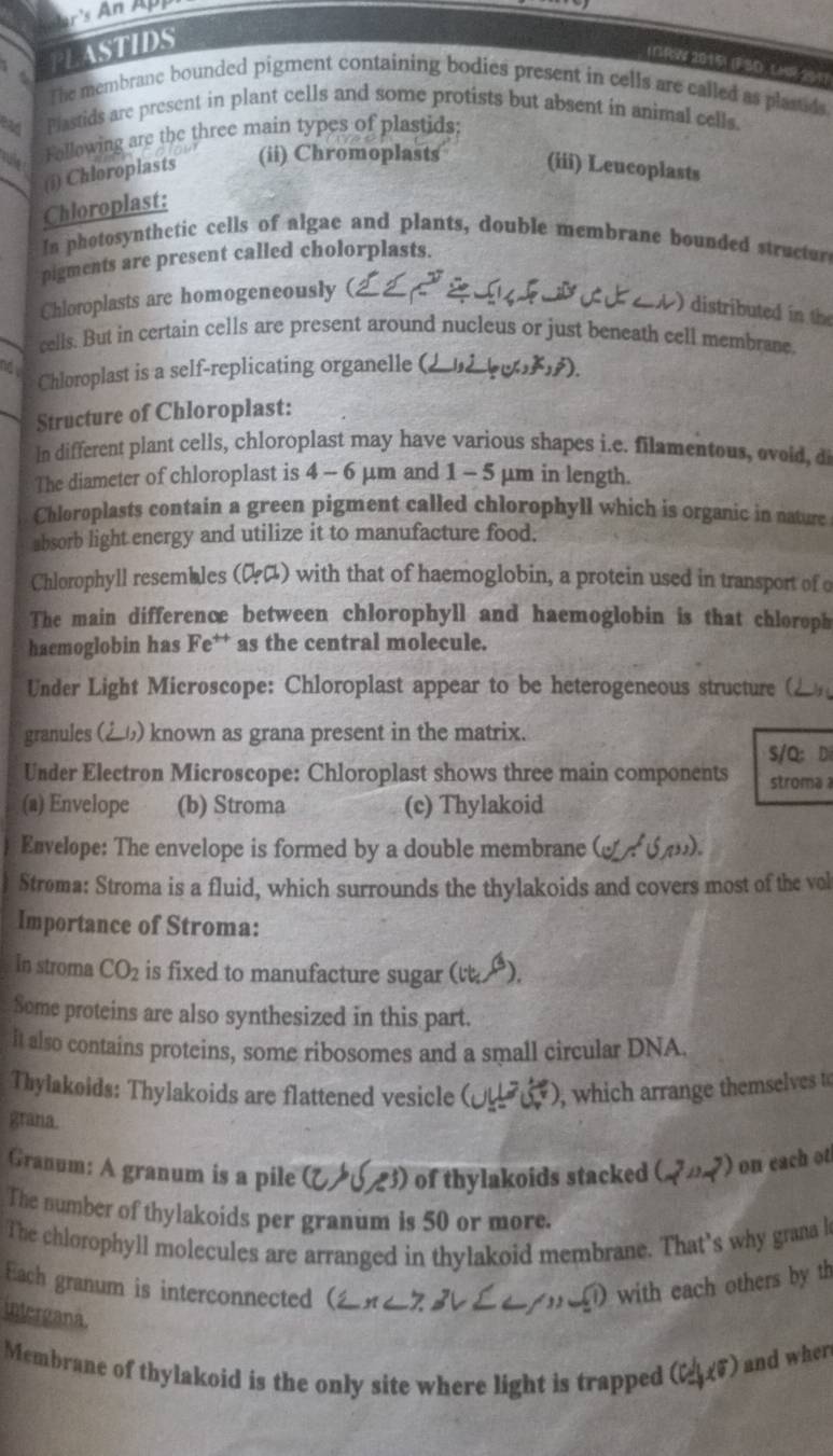 PLASTIDS
(NRW 2015) (FSD LHR 294)
The membranc bounded pigment containing bodies present in cells are called as plastids
Plastids are present in plant cells and some protists but absent in animal cells.
Following are the three main types of plastids:
(i) Chloroplasts (ii) Chromoplasts (iii) Leucoplasts
Chloroplast:
In photosynthetic cells of algae and plants, double membrane bounded structur
pigments are present called cholorplasts.
Chloroplasts are homogeneously (
) distribute 
cells. But in certain cells are present around nucleus or just beneath cell membrane.
Chloroplast is a self-replicating organelle (
Structure of Chloroplast:
In different plant cells, chloroplast may have various shapes i.e. filamentous, evoid, di
The diameter of chloroplast is 4 - 6 μm and 1 - 5 μm in length.
Chloroplasts contain a green pigment called chlorophyll which is organic in nature
absorb light energy and utilize it to manufacture food.
Chlorophyll resembles (α) with that of haemoglobin, a protein used in transport of o
The main difference between chlorophyll and haemoglobin is that chloroph
haemoglobin has Fe** as the central molecule.
Under Light Microscope: Chloroplast appear to be heterogeneous structure (
granules (26) known as grana present in the matrix.
S/Q; Di
Under Electron Microscope: Chloroplast shows three main components stroma 
(a) Envelope (b) Stroma (c) Thylakoid
Envelope: The envelope is formed by a double membrane
Strøma: Stroma is a fluid, which surrounds the thylakoids and covers most of the vol
Importance of Stroma:
In stroma CO_2 is fixed to manufacture sugar ( )
Some proteins are also synthesized in this part.
it also contains proteins, some ribosomes and a small circular DNA.
Thylakoids: Thylakoids are flattened vesicle ( un=(5,5)(5,5) , which arrange themselves to
grana.
Granum: A granum is a pile 3) of thylakoids stacked (20π 2') on each ot
The number of thylakoids per granum is 50 or more
The chlorophyll molecules are arranged in thylakoid membrane. That’s why grana l
Each granum is interconnected (2
_ [] with each others by th
intergana.
Membrane of thylakoid is the only site where light is trapped (cd,xsigma ) and wher