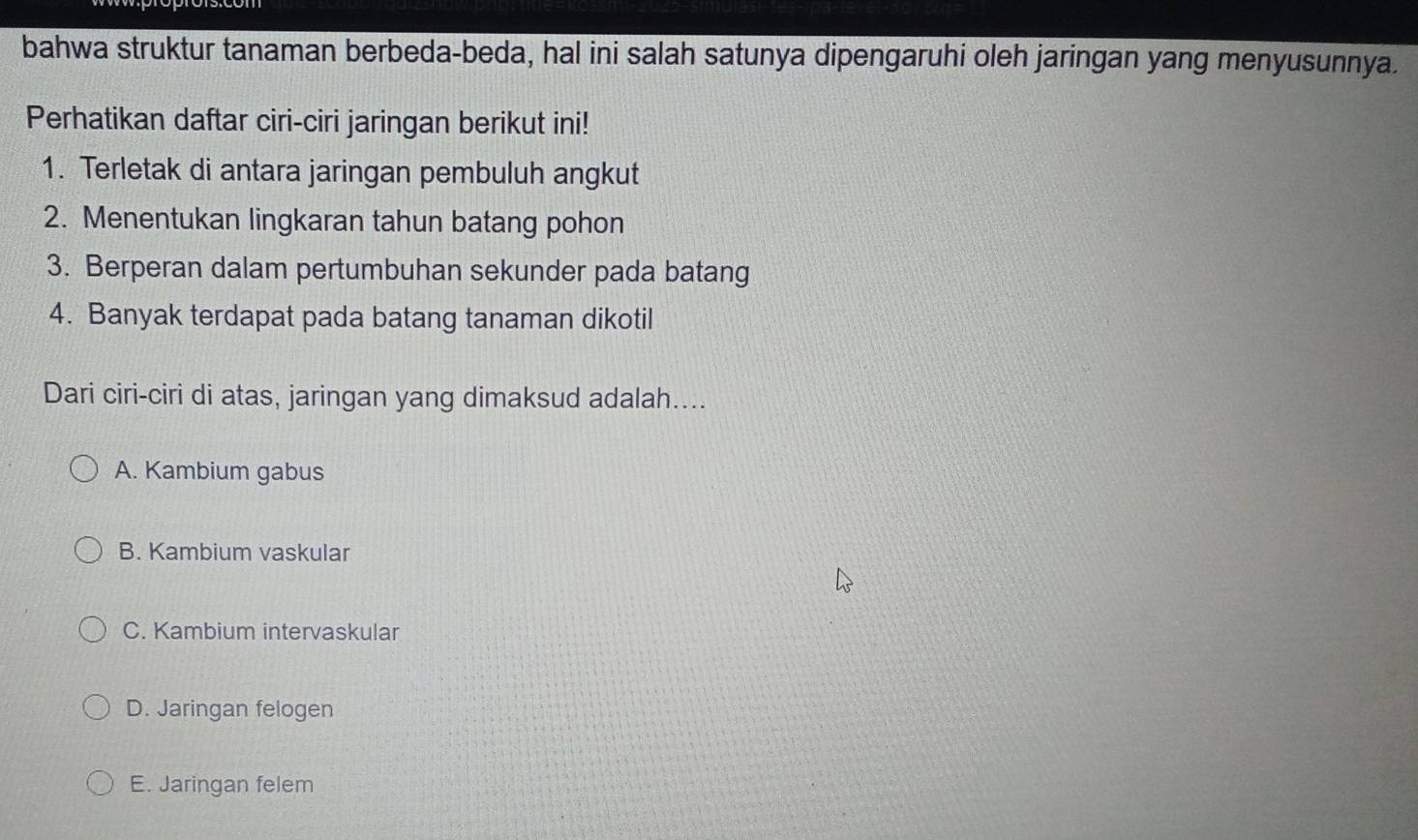 bahwa struktur tanaman berbeda-beda, hal ini salah satunya dipengaruhi oleh jaringan yang menyusunnya.
Perhatikan daftar ciri-ciri jaringan berikut ini!
1. Terletak di antara jaringan pembuluh angkut
2. Menentukan lingkaran tahun batang pohon
3. Berperan dalam pertumbuhan sekunder pada batang
4. Banyak terdapat pada batang tanaman dikotil
Dari ciri-ciri di atas, jaringan yang dimaksud adalah....
A. Kambium gabus
B. Kambium vaskular
C. Kambium intervaskular
D. Jaringan felogen
E. Jaringan felem