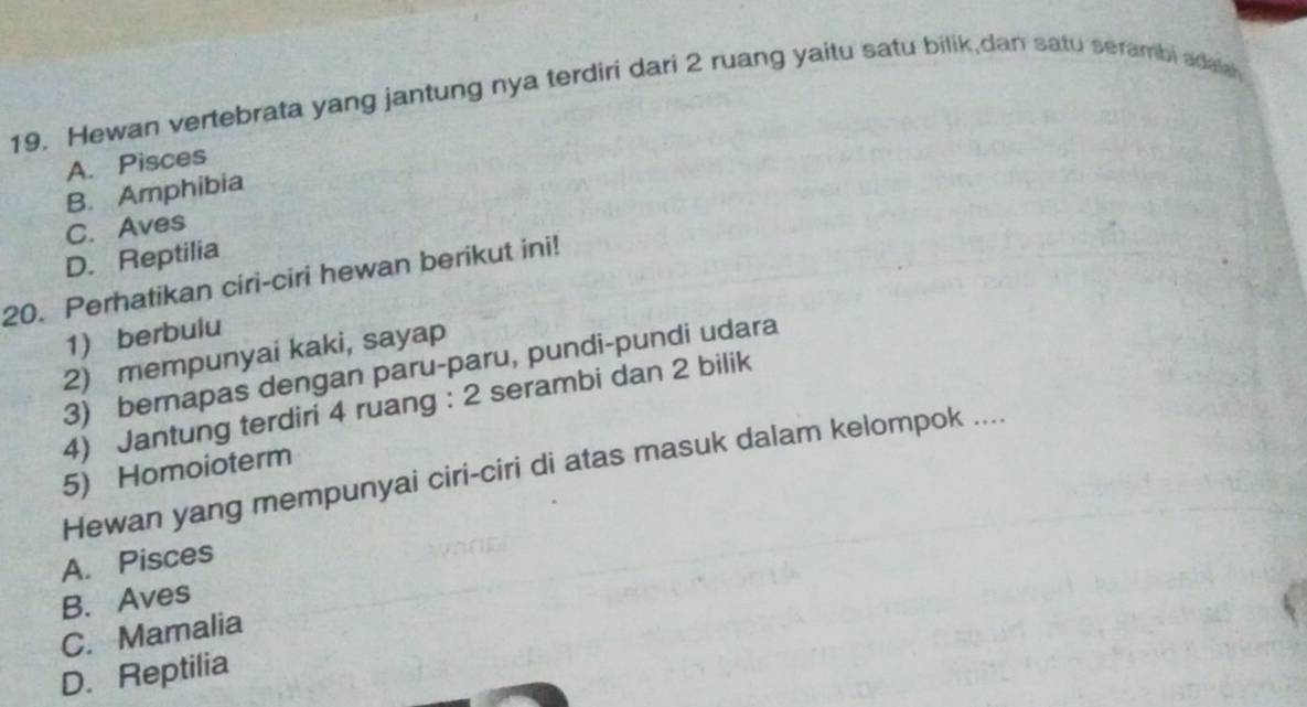 Hewan vertebrata yang jantung nya terdiri dari 2 ruang yaitu satu bilik,dan satu serambi adal
A. Pisces
B. Amphibia
C. Aves
D. Reptilia
20. Perhatikan ciri-ciri hewan berikut ini!
1) berbulu
2) mempunyai kaki, sayap
3) berapas dengan paru-paru, pundi-pundi udara
4) Jantung terdiri 4 ruang : 2 serambi dan 2 bilik
Hewan yang mempunyai ciri-ciri di atas masuk dalam kelompok ....
5) Homoioterm
A. Pisces
B. Aves
C. Mamalia
D. Reptilia