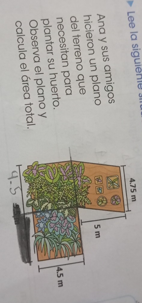 Lee la siguiente si 
Ana y sus amigos 
hicieron un plano 
del terreno que 
necesitan para 
plantar su huerto. 
Observa el plano y 
calcula el área total.