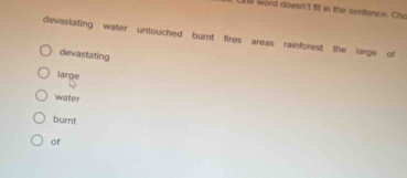 Ull word doesn't fit in the sentence. C
devastating water untouched burnt fires areas rainforest the large of
devastating
large
water
burnt
of