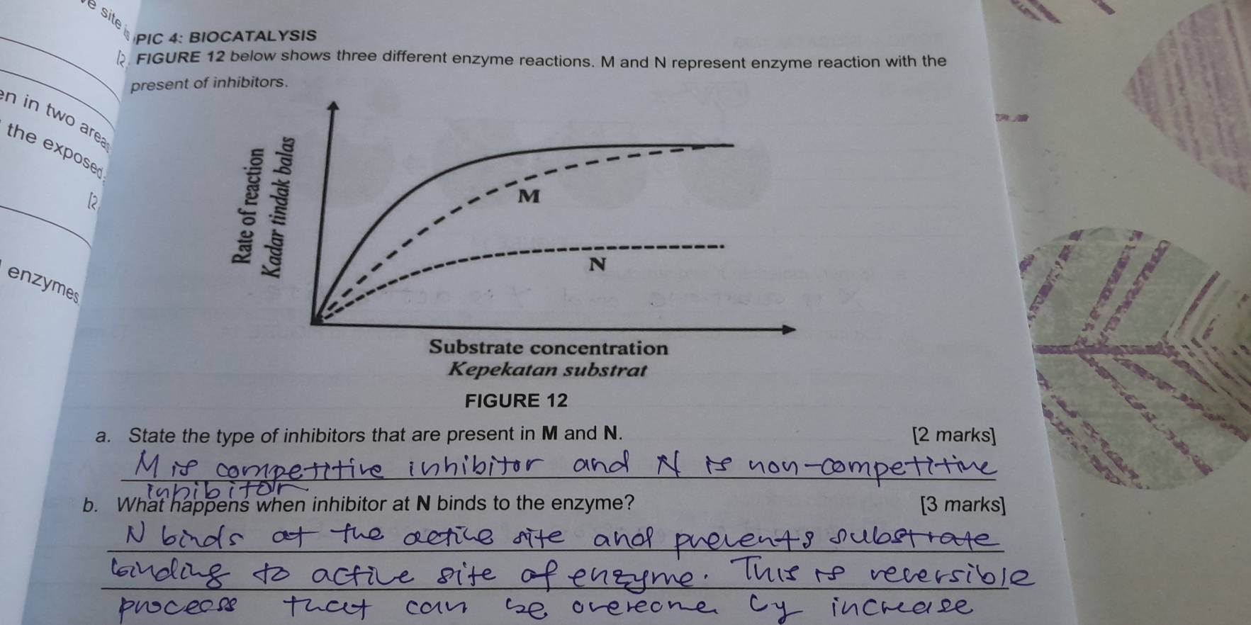 é site 
_ PIC 4: BIOCATALYSIS 
_ 
D FIGURE 12 below shows three different enzyme reactions. M and N represent enzyme reaction with the 
present of inhibitors.
n in two are the expose 
_[2 
enzymes 
a. State the type of inhibitors that are present in M and N. [2 marks] 
_ 
b. What happens when inhibitor at N binds to the enzyme? [3 marks] 
_ 
_