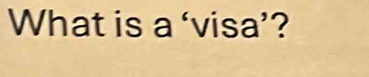 What is a ‘visa’?