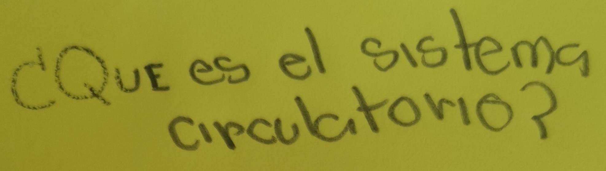 cur es el sistema 
circulatorio?