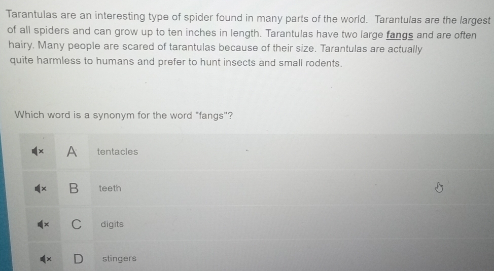 Tarantulas are an interesting type of spider found in many parts of the world. Tarantulas are the largest
of all spiders and can grow up to ten inches in length. Tarantulas have two large fangs and are often
hairy. Many people are scared of tarantulas because of their size. Tarantulas are actually
quite harmless to humans and prefer to hunt insects and small rodents.
Which word is a synonym for the word "fangs"?
A tentacles
B teeth
C digits
stingers