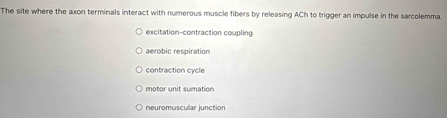 The site where the axon terminals interact with numerous muscle fibers by releasing ACh to trigger an impulse in the sarcolemma.
excitation-contraction coupling
aerobic respiration
contraction cycle
motor unit sumation
neuromuscular junction