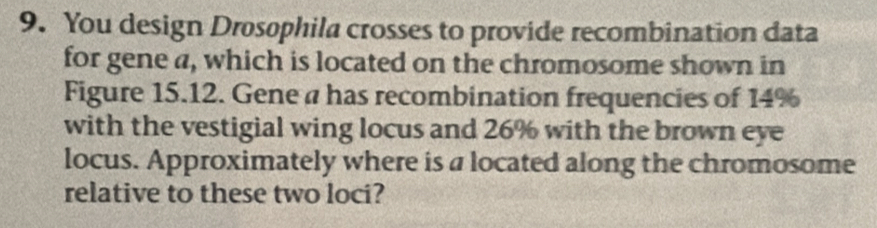 You design Drosophila crosses to provide recombination data 
for gene a, which is located on the chromosome shown in 
Figure 15.12. Gene a has recombination frequencies of 14%
with the vestigial wing locus and 26% with the brown eye 
locus. Approximately where is a located along the chromosome 
relative to these two loci?