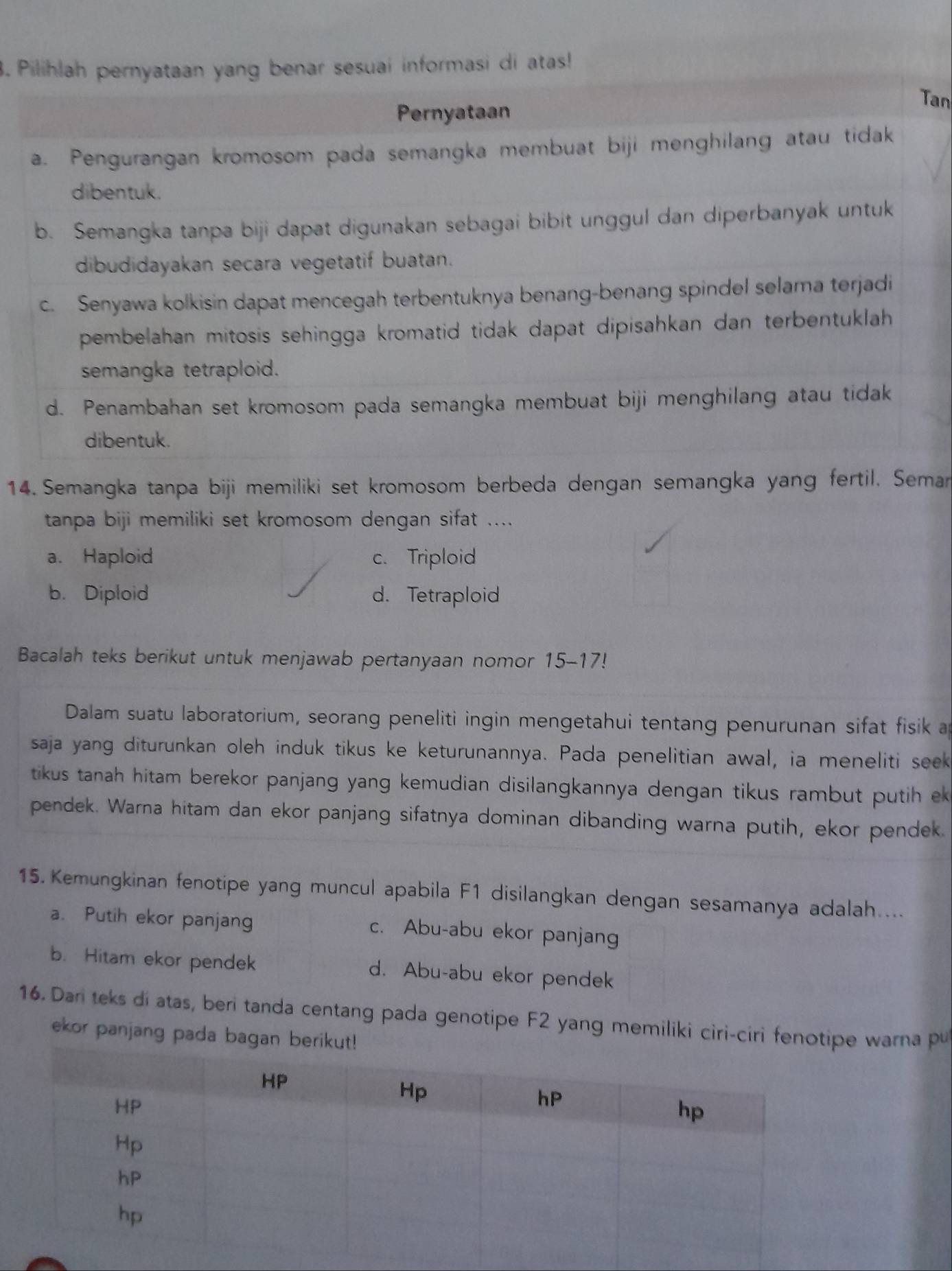 Pilihlah pernyataan yang benar sesuai informasi di atas!
Tan
Pernyataan
a. Pengurangan kromosom pada semangka membuat biji menghilang atau tidak
dibentuk.
b. Semangka tanpa biji dapat digunakan sebagai bibit unggul dan diperbanyak untuk
dibudidayakan secara vegetatif buatan.
c. Senyawa kolkisin dapat mencegah terbentuknya benang-benang spindel selama terjadi
pembelahan mitosis sehingga kromatid tidak dapat dipisahkan dan terbentuklah
semangka tetraploid.
d. Penambahan set kromosom pada semangka membuat biji menghilang atau tidak
dibentuk.
14. Semangka tanpa biji memiliki set kromosom berbeda dengan semangka yang fertil. Seman
tanpa biji memiliki set kromosom dengan sifat ....
a. Haploid c. Triploid
b. Diploid d. Tetraploid
Bacalah teks berikut untuk menjawab pertanyaan nomor 15-17!
Dalam suatu laboratorium, seorang peneliti ingin mengetahui tentang penurunan sifat fisik a
saja yang diturunkan oleh induk tikus ke keturunannya. Pada penelitian awal, ia meneliti seek
tikus tanah hitam berekor panjang yang kemudian disilangkannya dengan tikus rambut putih ek 
pendek. Warna hitam dan ekor panjang sifatnya dominan dibanding warna putih, ekor pendek.
15. Kemungkinan fenotipe yang muncul apabila F1 disilangkan dengan sesamanya adalah....
a. Putih ekor panjang c. Abu-abu ekor panjang
b. Hitam ekor pendek d. Abu-abu ekor pendek
16. Dari teks di atas, beri tanda centang pada genotipe F2 yang memiliki ciri-ciri fenotipe warna pu
ekor panjang pada bagan berik