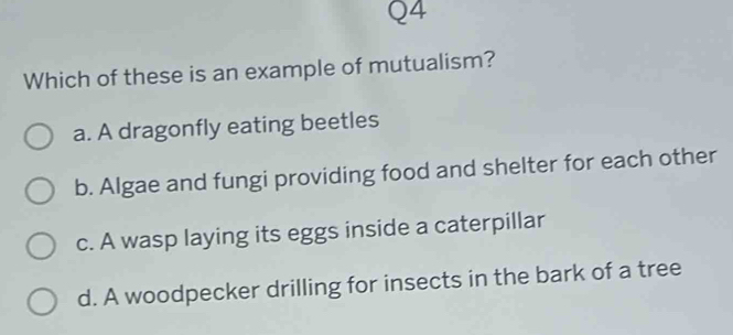 Which of these is an example of mutualism?
a. A dragonfly eating beetles
b. Algae and fungi providing food and shelter for each other
c. A wasp laying its eggs inside a caterpillar
d. A woodpecker drilling for insects in the bark of a tree