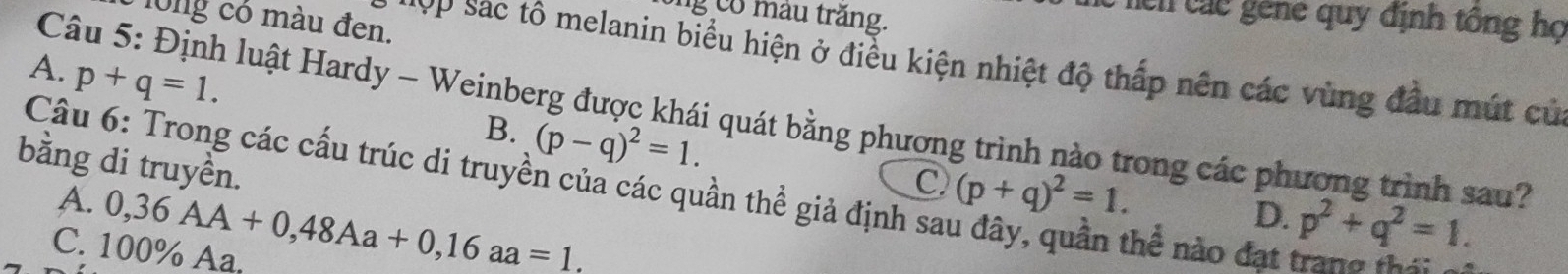 ng có mâu trăng.
lên các gene quy định tông họ
l0ng có màu đen.
MOp Sác tô melanin biểu hiện ở điều kiện nhiệt độ thấp nên các vùng đầu mút cử
A. p+q=1. 
Câu 5: Định luật Hardy - Weinberg được khái quát bằng phương trình nào trong các phương trình sau?
B. (p-q)^2=1. 
bằng di truyền.
Câu 6: Trong các cấu trúc di truyền của các quần thể giả định sa
A. 0,36AA+0, 48Aa+0,16aa=1.
C (p+q)^2=1.
D. p^2+q^2=1.
C. 100% Aa,
nhê nào đạt tran g 1