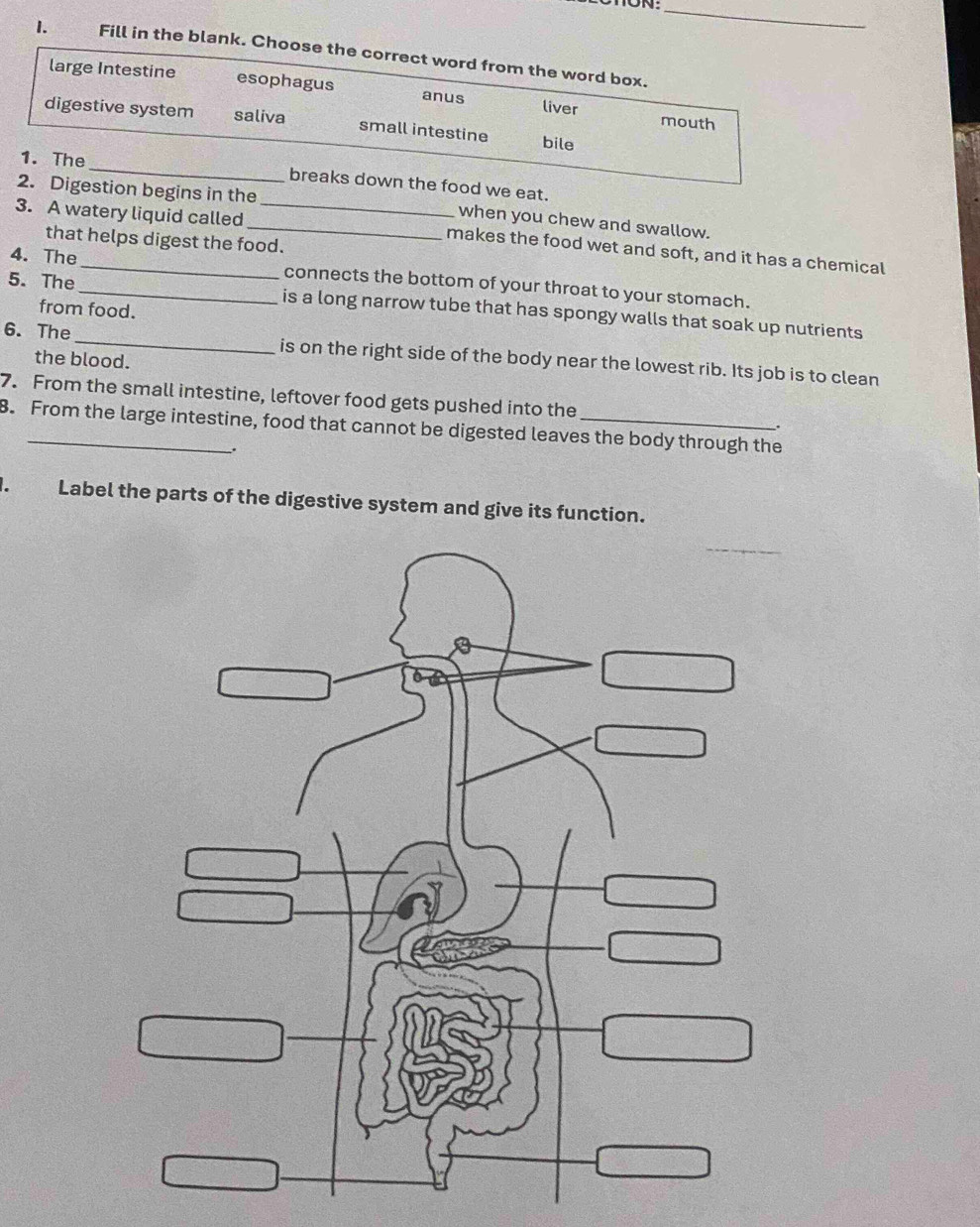 Fill in the blank. Choose the correct word from the word box.
large Intestine esophagus anus liver
digestive system saliva small intestine bile
mouth
1. The_ breaks down the food we eat.
2. Digestion begins in the when you chew and swallow.
3. A watery liquid called __makes the food wet and soft, and it has a chemical
that helps digest the food.
4. The_ connects the bottom of your throat to your stomach.
5. The_ is a long narrow tube that has spongy walls that soak up nutrients
from food.
6. The_ is on the right side of the body near the lowest rib. Its job is to clean
the blood.
7. From the small intestine, leftover food gets pushed into the
B. From the large intestine, food that cannot be digested leaves the body through the .
.
Label the parts of the digestive system and give its function.