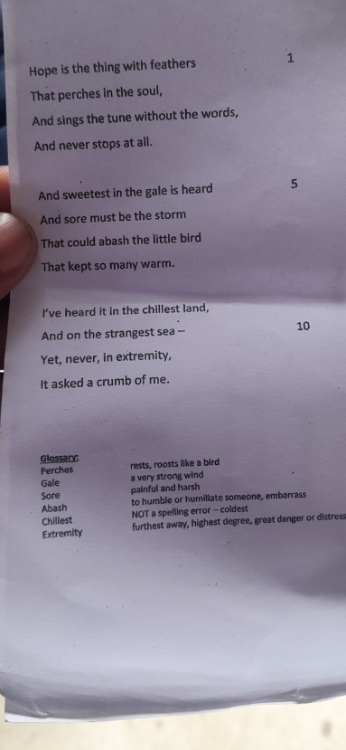 Hope is the thing with feathers 1 
That perches in the soul, 
And sings the tune without the words, 
And never stops at all. 
And sweetest in the gale is heard 5
And sore must be the storm 
That could abash the little bird 
That kept so many warm. 
I’ve heard it in the chillest land, 
And on the strangest sea -
10
Yet, never, in extremity, 
It asked a crumb of me. 
Glossary: 
Perches rests, roosts like a bird 
Gale a very strong wind 
painful and harsh 
Sore to humble or humillate someone, embarrass 
Abash 
Chillest NOT a spelling error - coldest 
Extremity furthest away, highest degree, great danger or distress