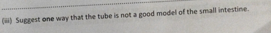 (iii) Suggest one way that the tube is not a good model of the small intestine.