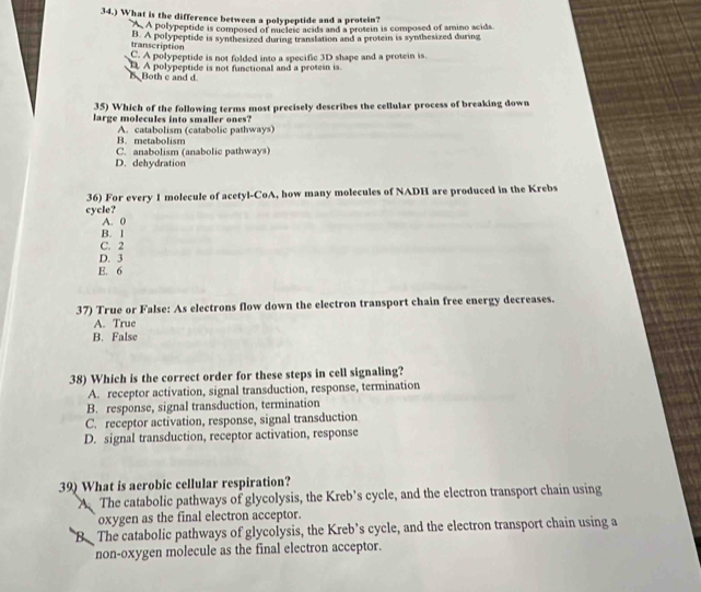 34.) What is the difference between a polypeptide and a protein?
A A polypeptide is composed of nucleic acids and a protein is composed of amino acids.
transcription B. A polypeptide is synthesized during translation and a protein is synthesized during
C. A polypeptide is not folded into a specific 3D shape and a protein is.
B Both c and d D. A polypeptide is not functional and a protesn is.
35) Which of the following terms most precisely describes the cellular process of breaking down
large molecules into smaller ones?
A. catabolism (catabolic pathways) B. metabolism
C. anabolism (anabolic pathways)
D. dehydration
36) For every 1 molecule of acetyl-CoA, how many molecules of NADH are produced in the Krebs
cycle?
A. 0
B. 1
C. 2
D. 3
E. 6
37) True or False: As electrons flow down the electron transport chain free energy decreases.
A. True
B. False
38) Which is the correct order for these steps in cell signaling?
A. receptor activation, signal transduction, response, termination
B. response, signal transduction, termination
C. receptor activation, response, signal transduction
D. signal transduction, receptor activation, response
39) What is aerobic cellular respiration?
A. The catabolic pathways of glycolysis, the Kreb’s cycle, and the electron transport chain using
oxygen as the final electron acceptor.
B. The catabolic pathways of glycolysis, the Kreb’s cycle, and the electron transport chain using a
non-oxygen molecule as the final electron acceptor.