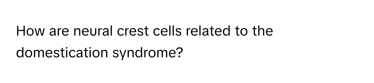 How are neural crest cells related to the domestication syndrome?