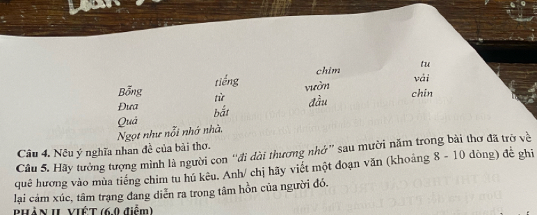 tu 
tiếng chim 
vải 
vườn 
Bỗng từ 
Đưa đầu chin 
Quả bắt 
Ngọt như nỗi nhớ nhà, 
Câu 4. Nêu ý nghĩa nhan đề của bài thơ. 
Câu 5. Hãy tưởng tượng mình là người con “đi dài thương nhớ” sau mười năm trong bài thơ đã trở về 
quê hương vào mùa tiếng chim tu hú kêu. Anh/ chị hãy viết một đoạn văn (khoảng 8 - 10 dòng) đề ghi 
lại cảm xúc, tâm trạng đang diễn ra trong tâm hồn của người đó. 
Phần II Việt (6.0 điểm)