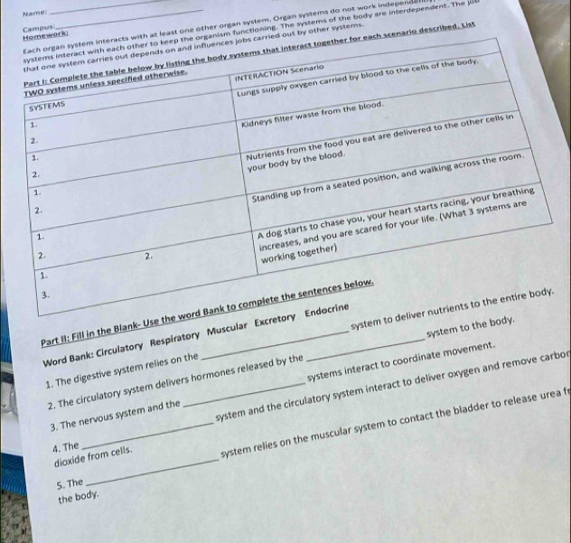 Name:
t one other organ system. Organ systems do not work independe 
nctioning. The systems of the body are interdependent. The joe
Campus
other systems.
rio described. List
Part II: Fill in the Blank- Us
Word Bank: Circulatory Respiratory Muscular Ex
1. The digestive system relies on the system
2. The circulatory system delivers hormones released by the system to the bo
system and the circulatory system interact to deliver oxygen and remove carbor
3. The nervous system and the systems interact to coordinate movement.
_
dioxide from cells. system relies on the muscular system to contact the bladder to release urea fr
4. The
5. The
the body.