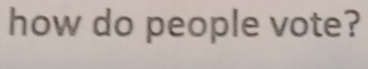 how do people vote?