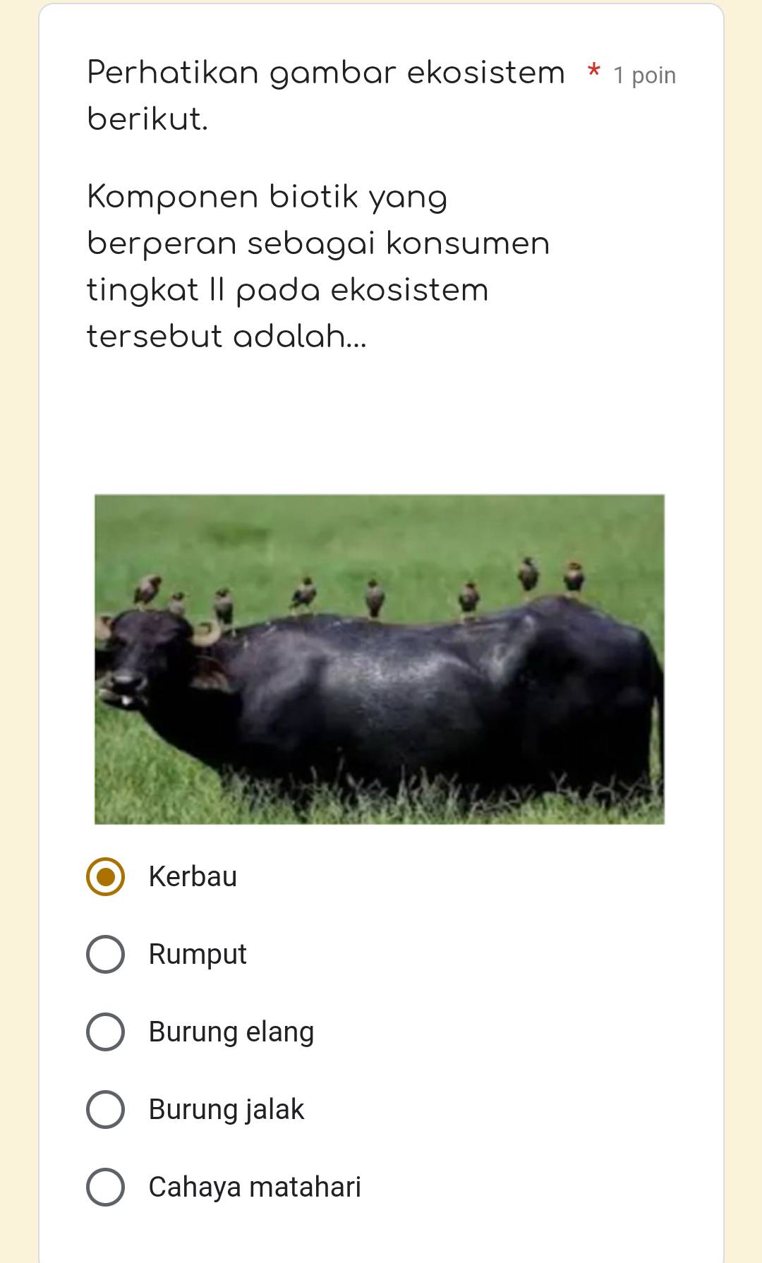 Perhatikan gambar ekosistem * 1 poin
berikut.
Komponen biotik yang
berperan sebagai konsumen
tingkat II pada ekosistem
tersebut adalah...
Kerbau
Rumput
Burung elang
Burung jalak
Cahaya matahari