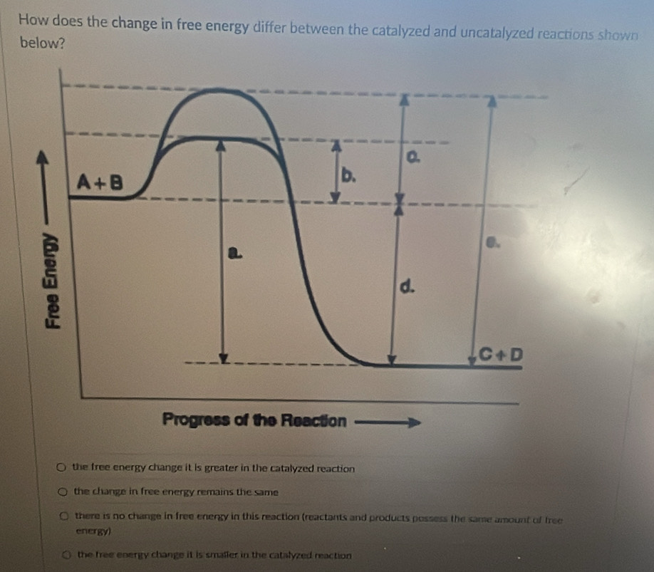 How does the change in free energy differ between the catalyzed and uncatalyzed reactions shown
below?
the free energy change it is greater in the catalyzed reaction
the change in free energy remains the same
there is no change in free energy in this reaction (reactants and products possess the same amount of free
energy)
the free energy change it is smaller in the catalyzed reaction