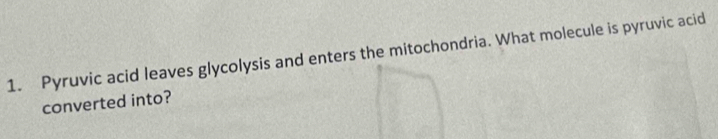 Pyruvic acid leaves glycolysis and enters the mitochondria. What molecule is pyruvic acid 
converted into?