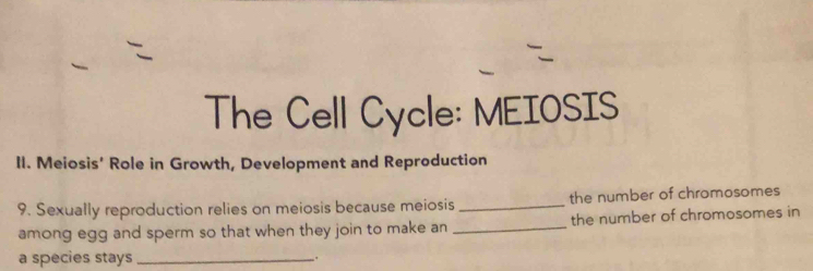 The Cell Cycle: MEIOSIS 
II. Meiosis' Role in Growth, Development and Reproduction 
9. Sexually reproduction relies on meiosis because meiosis_ the number of chromosomes 
among egg and sperm so that when they join to make an _the number of chromosomes in 
a species stays _.