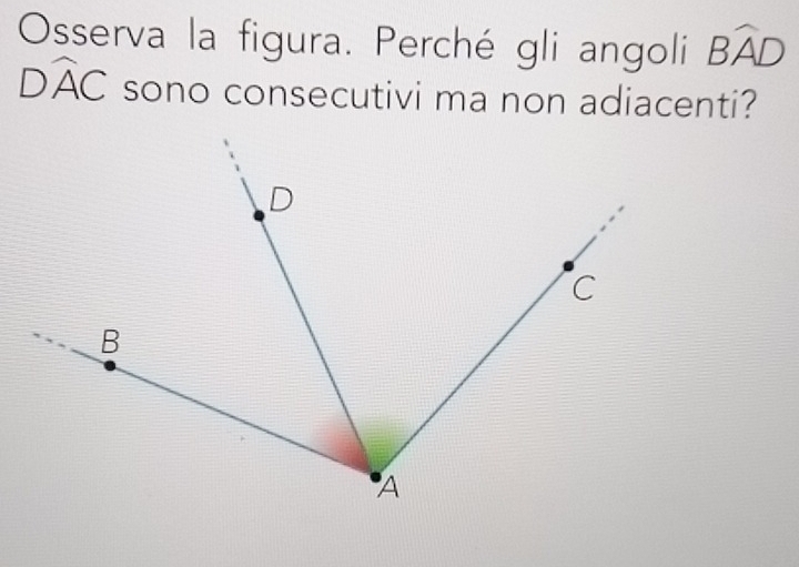 Osserva la figura. Perché gli angoli Bwidehat AD
Dwidehat AC sono consecutivi ma non adiacenti?