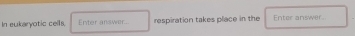 In eukaryotic cells. Enter answer... respiration takes place in the Enter answer.