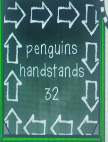 penguins