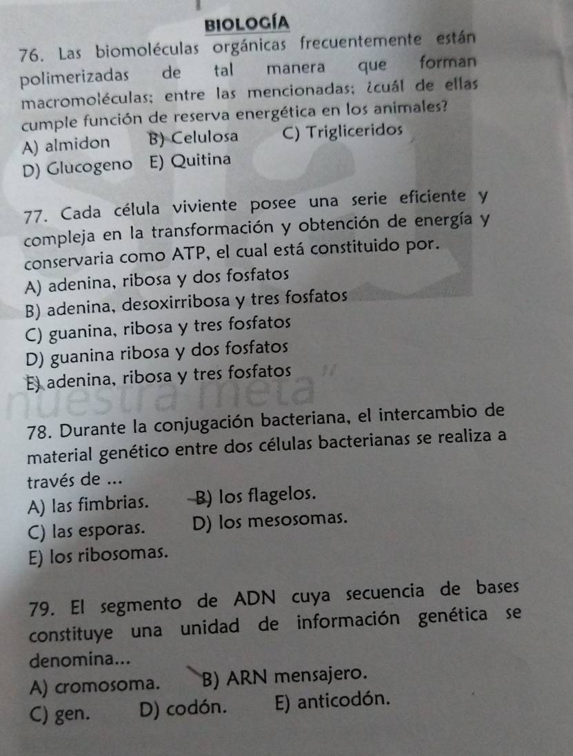 biología
76. Las biomoléculas orgánicas frecuentemente están
polimerizadas de tal manera que forman
macromoléculas; entre las mencionadas; ¿cuál de ellas
cumple función de reserva energética en los animales?
A) almidon B) Celulosa C) Trigliceridos
D) Glucogeno E) Quitina
77. Cada célula viviente posee una serie eficiente y
compleja en la transformación y obtención de energía y
conservaria como ATP, el cual está constituido por.
A) adenina, ribosa y dos fosfatos
B) adenina, desoxirribosa y tres fosfatos
C) guanina, ribosa y tres fosfatos
D) guanina ribosa y dos fosfatos
E) adenina, ribosa y tres fosfatos
78. Durante la conjugación bacteriana, el intercambio de
material genético entre dos células bacterianas se realiza a
través de ...
A) las fimbrias. B) los flagelos.
C) las esporas. D) los mesosomas.
E) los ribosomas.
79. El segmento de ADN cuya secuencia de bases
constituye una unidad de información genética se
denomina...
A) cromosoma. B) ARN mensajero.
C) gen. D) codón. E) anticodón.