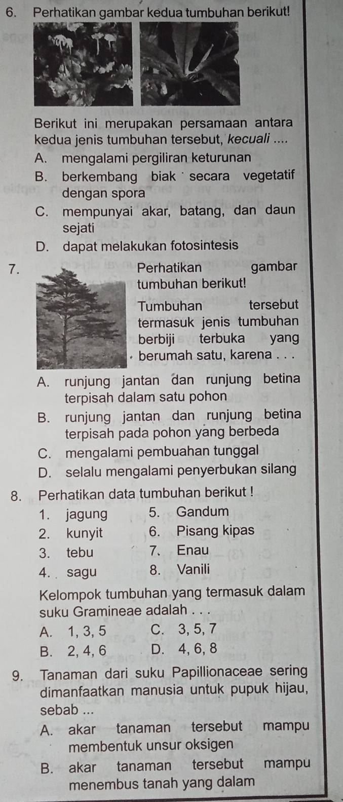 Perhatikan gambar kedua tumbuhan berikut!
Berikut ini merupakan persamaan antara
kedua jenis tumbuhan tersebut, kecuali ....
A. mengalami pergiliran keturunan
B. berkembang biak secara vegetatif
dengan spora
C. mempunyai akar, batang, dan daun
sejati
D. dapat melakukan fotosintesis
7. gambar
Perhatikan
tumbuhan berikut!
Tumbuhan tersebut
termasuk jenis tumbuhan
berbiji terbuka yang
berumah satu, karena . . .
A. runjung jantan dan runjung betina
terpisah dalam satu pohon
B. runjung jantan dan runjung betina
terpisah pada pohon yang berbeda
C. mengalami pembuahan tunggal
D. selalu mengalami penyerbukan silang
8. Perhatikan data tumbuhan berikut !
1. jagung 5. Gandum
2. kunyit 6. Pisang kipas
3. tebu 7. Enau
4. sagu 8. Vanili
Kelompok tumbuhan yang termasuk dalam
suku Gramineae adalah . . .
A. 1, 3, 5 C. 3, 5, 7
B. 2, 4, 6 D. 4, 6, 8
9. Tanaman dari suku Papillionaceae sering
dimanfaatkan manusia untuk pupuk hijau,
sebab ...
A. akar tanaman tersebut mampu
membentuk unsur oksigen
B. akar tanaman tersebut mampu
menembus tanah yang dalam