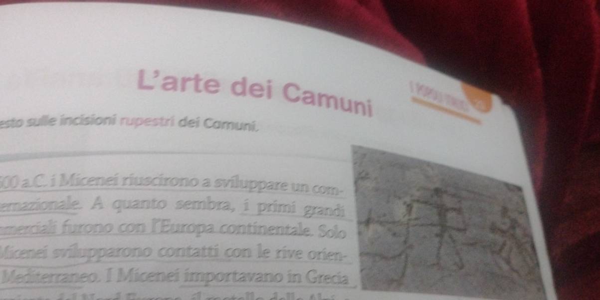 L'arte dei Camuni 
esto sulle incisioni rupestri dei Camuni.
600 a.C. í Miceneí riuscirono a sviluppare un com- 
emazionale. A quanto sembra, i primi grandi 
merciali furono con lEuropa continentale. Solo 
Micenei svilupparono contatti con le rive orien- 
Mediterraneo. I Micenei importavano in Grecia