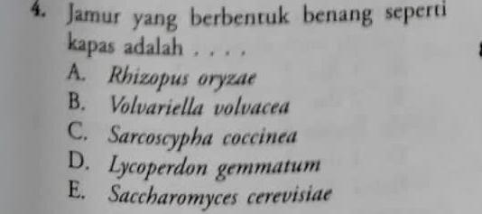 Jamur yang berbentuk benang seperti
kapas adalah . . . .
A. Rhizopus oryzae
B. Volvariella volvacea
C. Sarcoscypha coccinea
D. Lycoperdon gemmatum
E. Saccharomyces cerevisiae