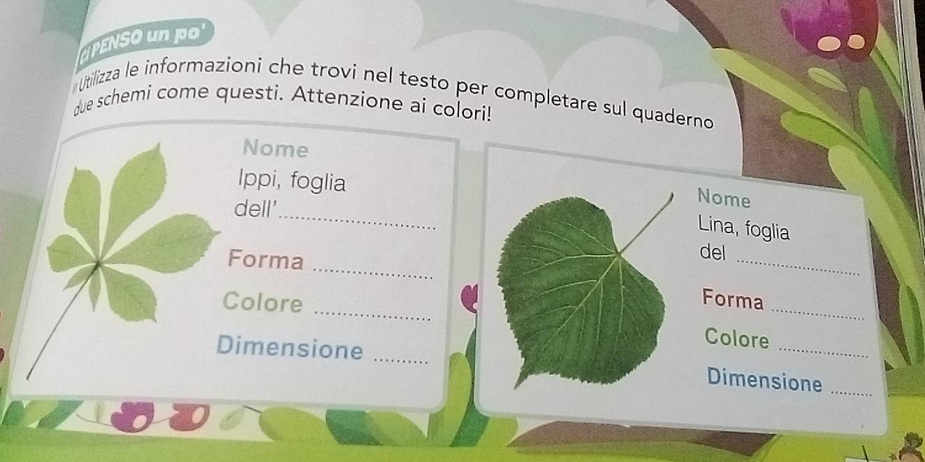 PENSO un p 
Utilizza le informazioni che trovi nel testo per completare sul quaderno 
due schemi come questi. Attenzione ai colori! 
Nome 
Ippi, foglia 
dell' 
_ 
Nome 
Lina, foglia 
_ 
Forma 
_ 
del 
Forma 
_ 
Colore _Colore_ 
Dimensione_ 
Dimensione_